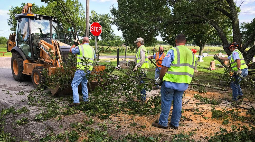 Storms down numerous trees